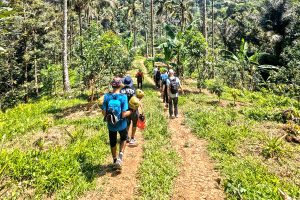 bali trekking tour