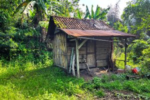 bali hidden trekking