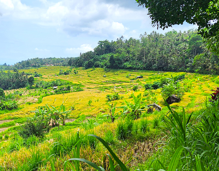 bali trekking tour