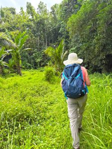 bali hidden trails