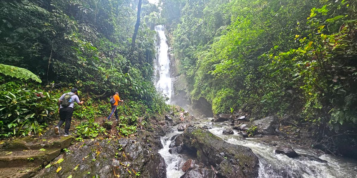 bali waterfalls