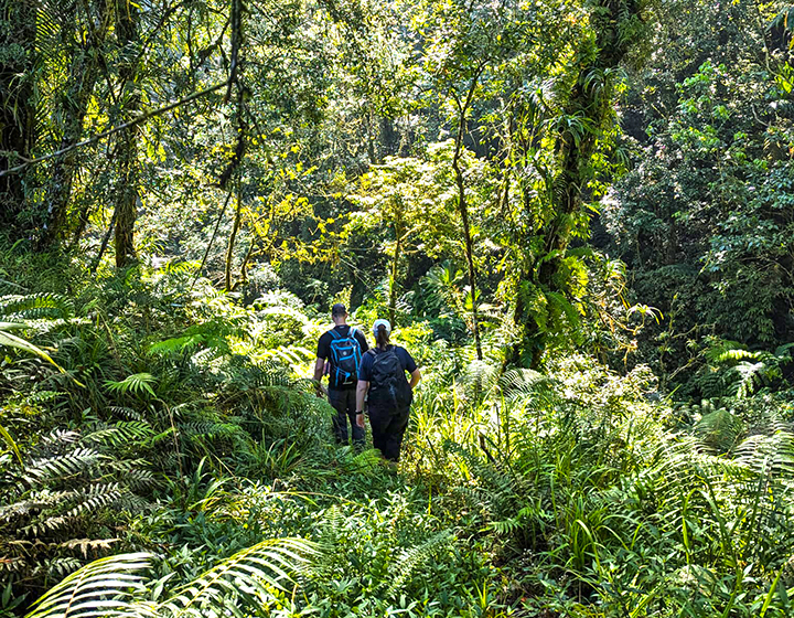 mount batukaru hiking