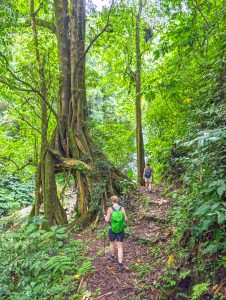 bali backroads trekking